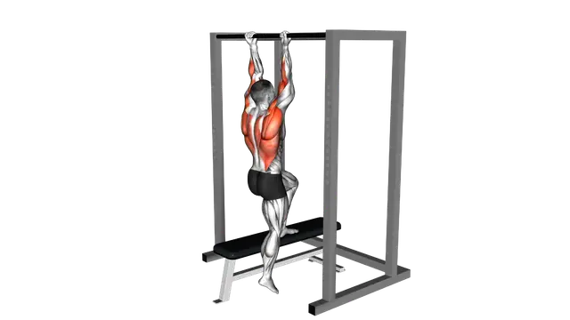 Assisted Chin Up on a bench exercise demonstration