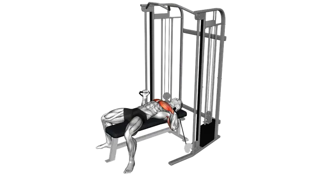 Cable Neutral grip Chest Press exercise demonstration