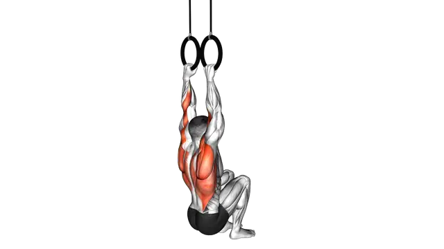 Ring Self Assisted Pull Up exercise demonstration