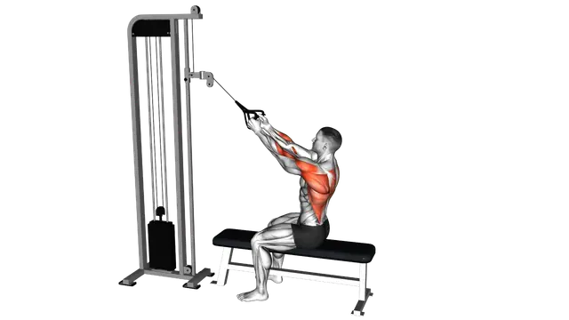 Cable High Row exercise demonstration