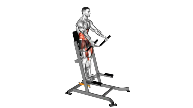 Lever Banded Abdominal Leg Raise exercise demonstration