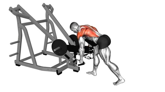 Lever Bent Over Neutral Grip Row (with chest support) exercise demonstration