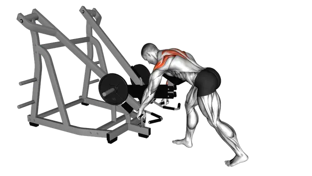 Lever Bent Over Wide Grip Row (with chest support) exercise demonstration