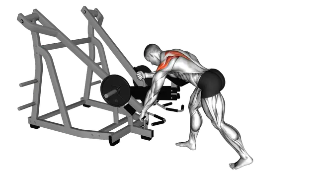 Lever Bent Over Single Arm Wide Grip Row (with che exercise demonstration