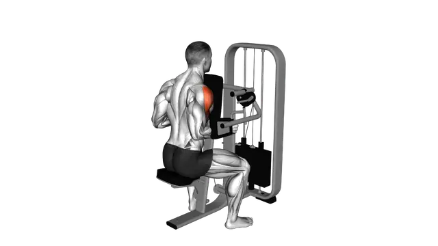 Lever Lateral Raise with Chest Support exercise demonstration