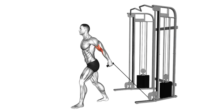 Cable One Arm Neutral Grip Biceps Curl exercise demonstration