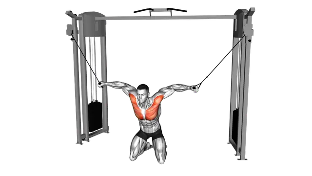 Cable Kneeling High to Low Fly exercise demonstration