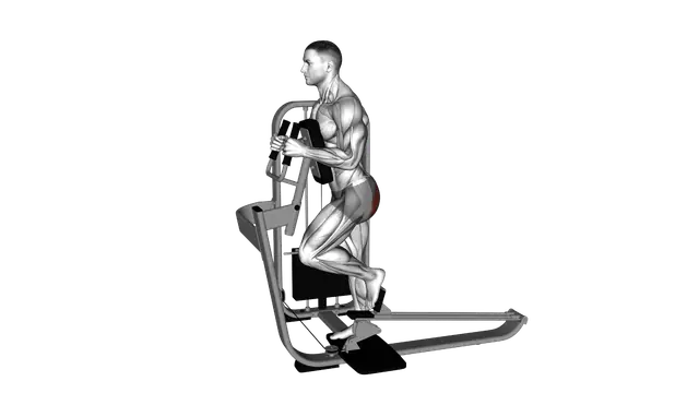 Lever Glute Press exercise demonstration