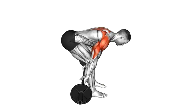 Barbell Bent Over Reverse Raise (skier) exercise demonstration