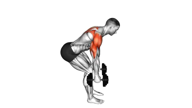 Dumbbell Bent Over Reverse Raise (skier) exercise demonstration