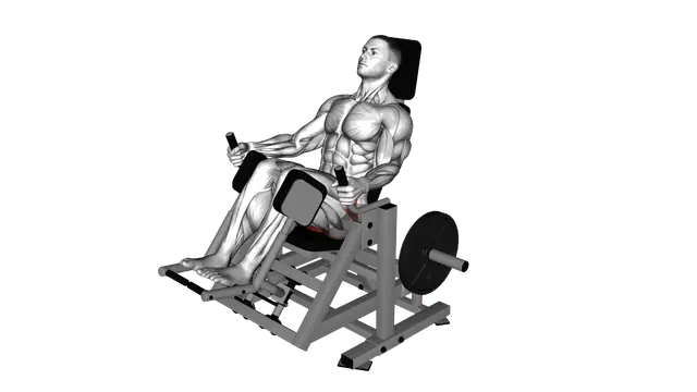 Lever Glute Abductors Press exercise demonstration