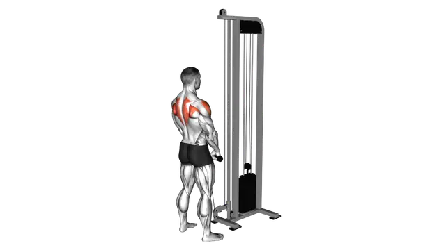Cable High Pull with Rope Attachment exercise demonstration