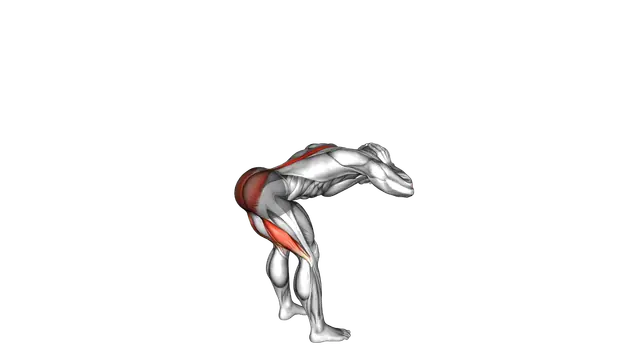 Bodyweight Standing Romanian Deadlift exercise demonstration