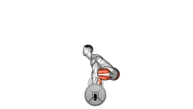 Barbell Deadlift exercise demonstration