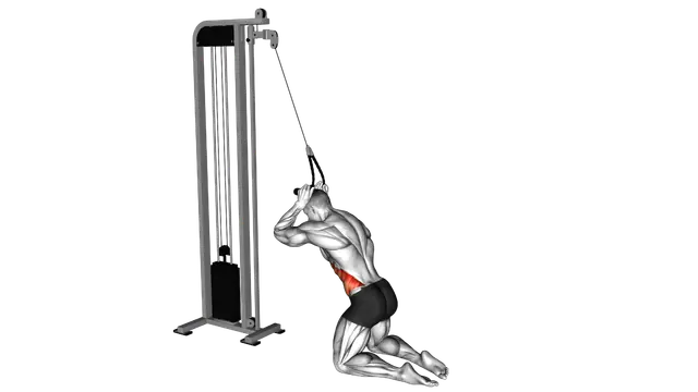 Cable Kneeling Side Crunch exercise demonstration