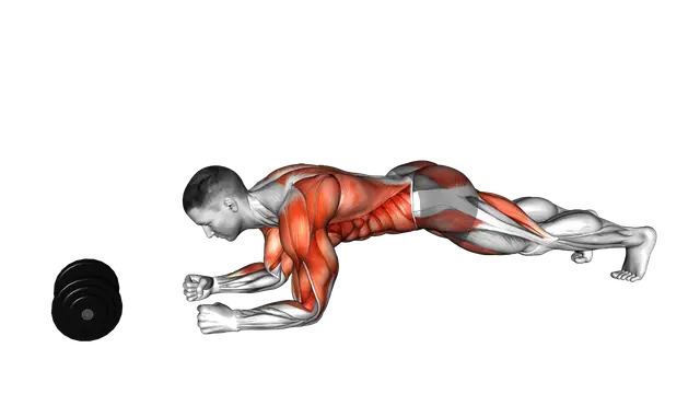 Plank Alternate Anti Gravity Pull up exercise demonstration