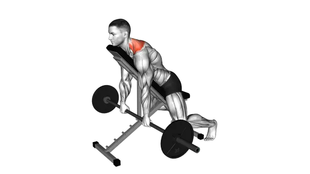 Barbell Decline Shrug exercise demonstration