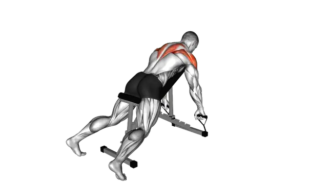Band Incline Row exercise demonstration