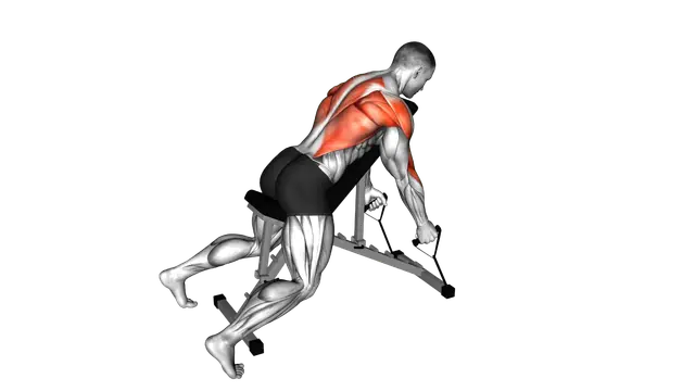 Band Hammer Grip Incline Bench Two Arm Row exercise demonstration
