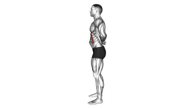 Standing Abdominal Vacuum exercise demonstration