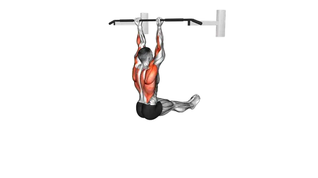 L Sit Chin up exercise demonstration