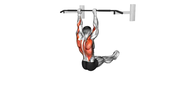 L Sit Pull up exercise demonstration