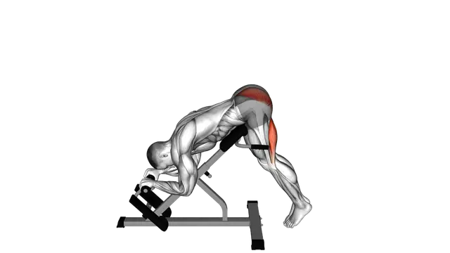 45 degrees Single Leg Reverse Hyperextension exercise demonstration