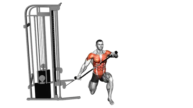 Cable Half Kneeling Lift exercise demonstration