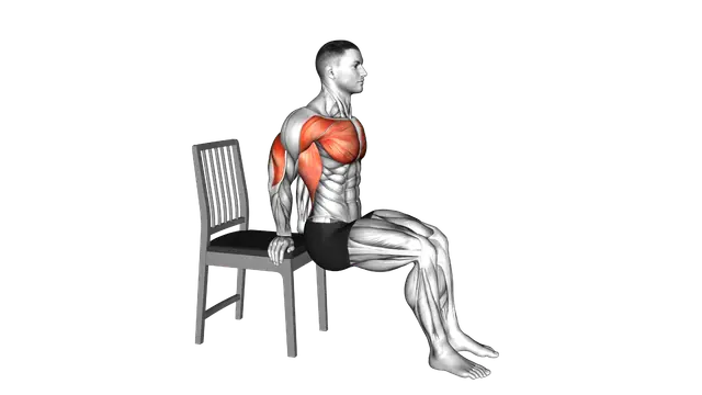 Dip Bent Knees with Chair exercise demonstration