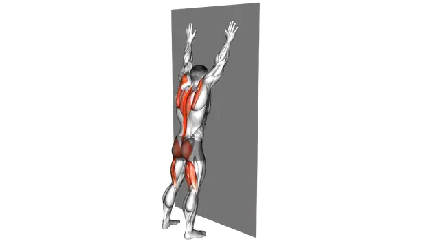 Opposite Arm and Leg Raise against Wall exercise demonstration