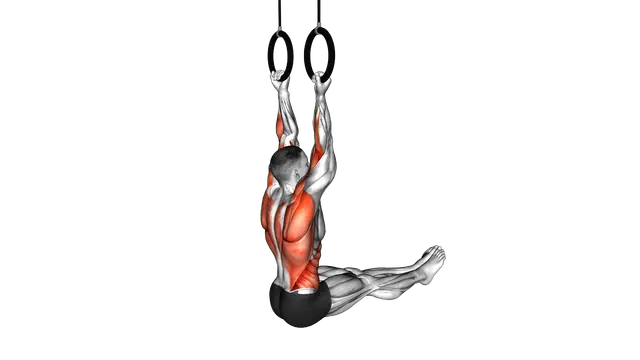 Ring L Sit Chin up exercise demonstration