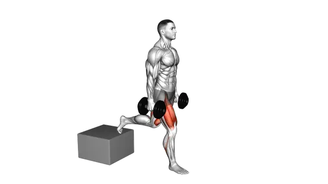 Dumbbell Single Leg Split Squat with Low Box exercise demonstration