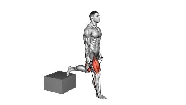 Band Single Leg Split Squat with Low Box exercise demonstration
