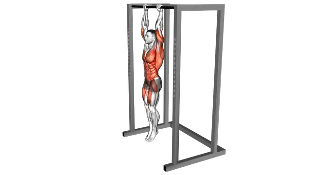 Hanging Front Lever Raise exercise demonstration
