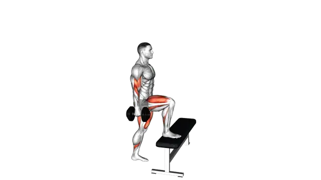 Dumbbell Step up Biceps Curl exercise demonstration