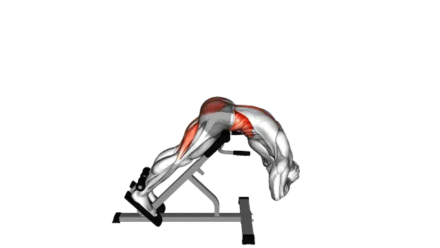 45 degree Twisting Hyperextension exercise demonstration
