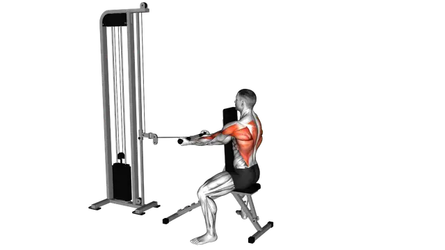 Cable Front Seated Row exercise demonstration