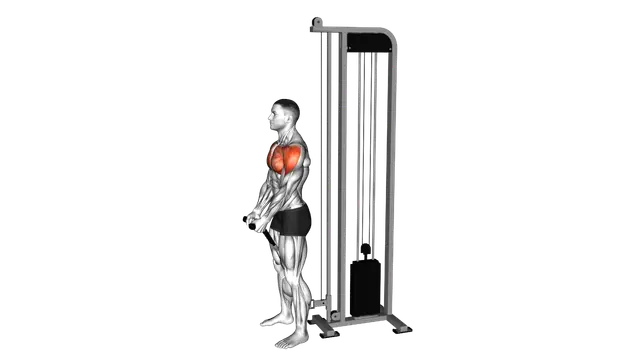 Cable Front Raise (rope attachment) exercise demonstration