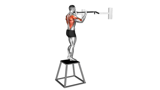 Pull up (negative) exercise demonstration