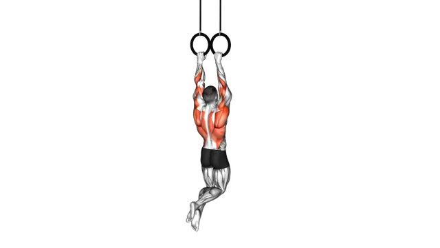 Ring Archer Pull up exercise demonstration