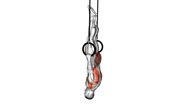 Ring Front Lever exercise demonstration