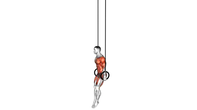 Ring Handstand exercise demonstration
