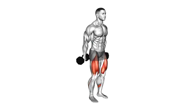 Dumbbell Hack Squat exercise demonstration