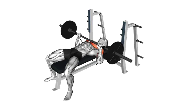 Barbell Banded Bench Press exercise demonstration