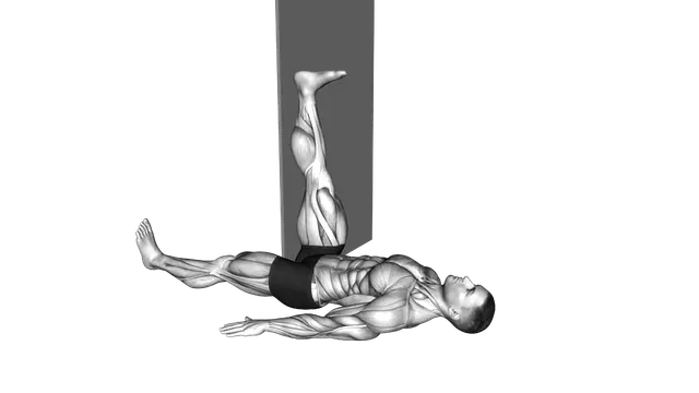 Lying Single Leg Hamstring Stretch against Wall (m exercise demonstration