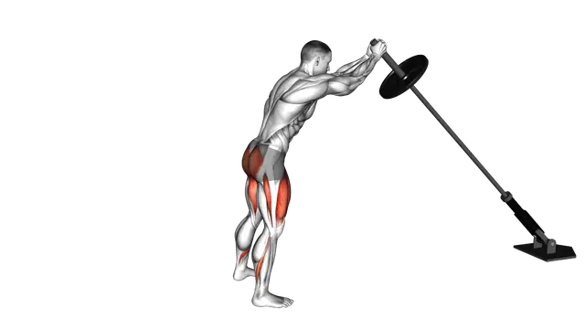 Landmine Squat exercise demonstration