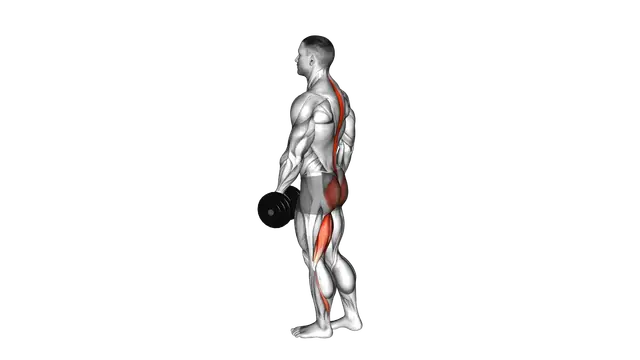 Dumbbell Ipsilateral Single Leg Stiff Leg Deadlift exercise demonstration