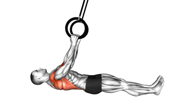 Ring Inverted Row parallel to the floor exercise demonstration