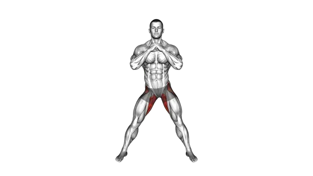 Adductors Stretch Coronal Plane exercise demonstration