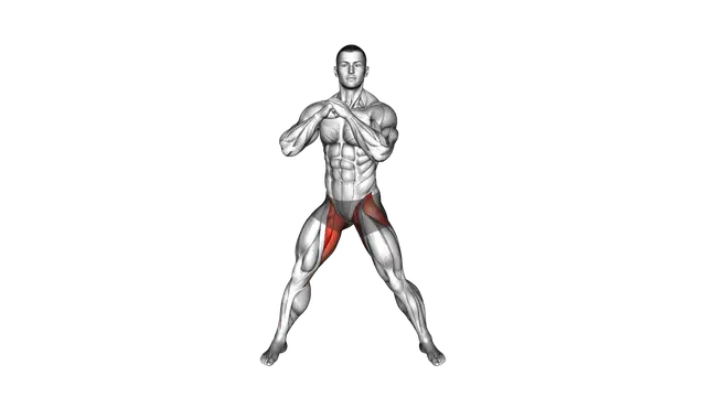 Adductors Stretch Transverse Plane exercise demonstration